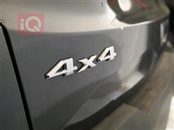 جيب رينيجيد